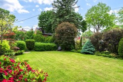 Jardin - 