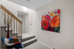 Basement - 