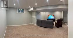 Basement 3 - 