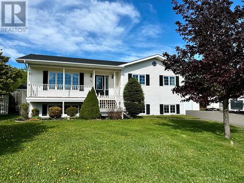 51 Snow Crescent  Grand Falls-Windsor, NL A2B 1C7