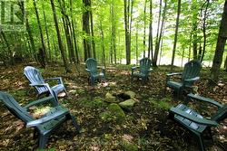 camp site in behind home - 