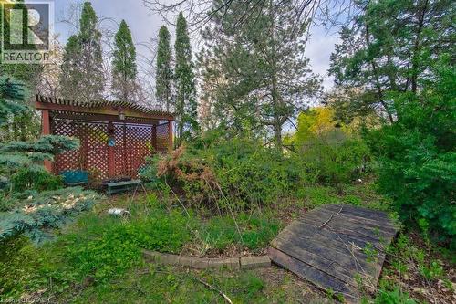 park-like yard with lots of perennials - 247 Rolling Acres Court, Kitchener, ON - Outdoor