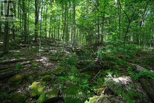 100 Coons Road, Rideau Lakes, ON - Outdoor