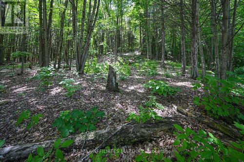 100 Coons Road, Rideau Lakes, ON - Outdoor