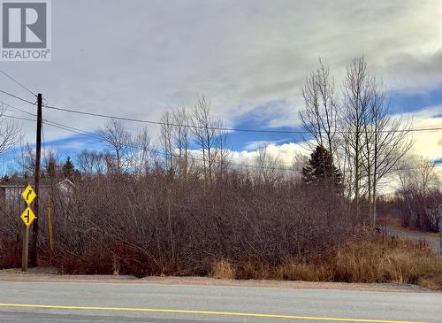 298 Trinity Drive, George'S Brook - Milton, NL 