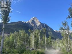 DL 890 PUGSLEY STREET New Hazelton, BC V0J 2J0
