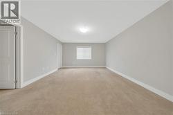 Carpeted room featuring light gray walls and white trim - 