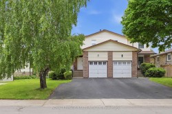 Basement-79 Adis Avenue  Hamilton, ON L9C 6T9