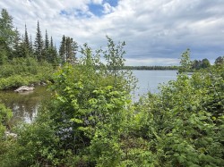 Terre/Terrain - 