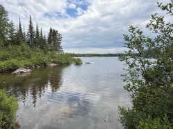 Bord de l'eau - 