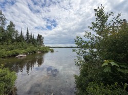 Bord de l'eau - 