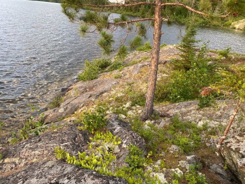 Water view - Ch. Du Lac-Cameron, Saint-Eugène-De-Guigues, QC 