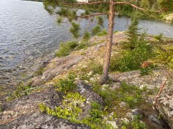 Vue sur l'eau - 