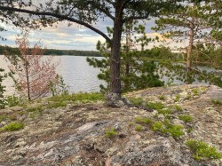 Vue sur l'eau - 