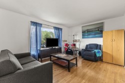 Salon - 