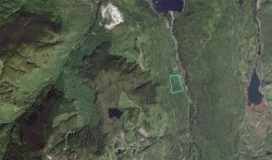 DL 1501 Benson Lake Port Alice, BC V0N 2N0