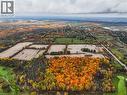 4300 Cedar Springs Road, Burlington, ON 