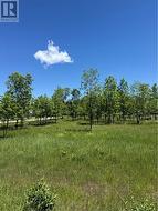 N/A Carter Crescent Kagawong, Manitoulin Island, ON P0P 1J0
