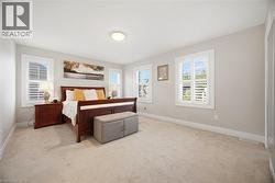 Carpeted room featuring multiple windows with white plantation shutters, white baseboards, and neutral wall tones - 