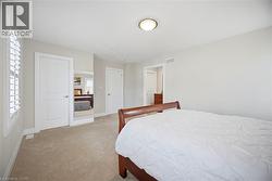 Carpeted room with neutral wall tones and white trim - 