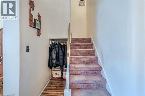 Carpeted staircase with white balustrade leading to an upper level - 41 Springhurst Avenue, Toronto, ON 