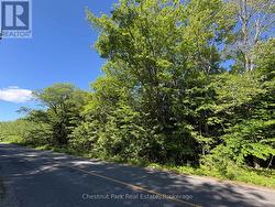 1493 GOLDEN BEACH ROAD Bracebridge (Monck (Bracebridge)), ON P1L 1W8