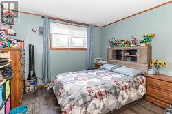 Lower Level Bedroom - 