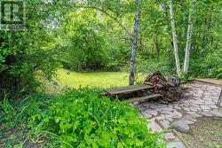 Private backyard - 