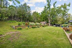 Huge 105  x 147 ft Lot (.35 Acres) w Mature Trees - 
