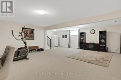 Basement Rec Room - 