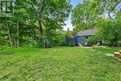 Back Yard - 