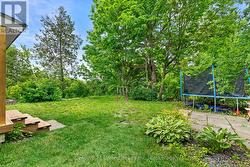 Back Yard - 