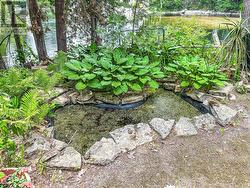 Frog Pond - 