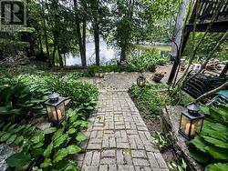 Pathway leading to waterfront - 