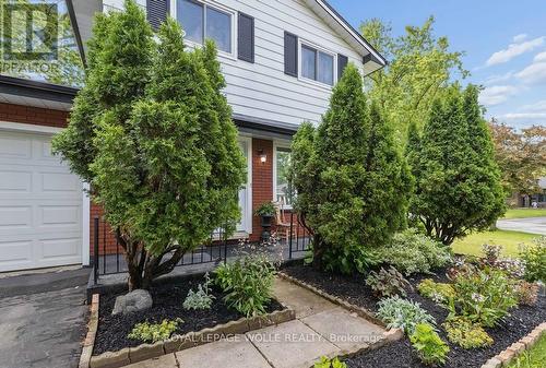 45 Arrowhead Crescent, Kitchener, ON 