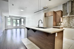 Overall view - 