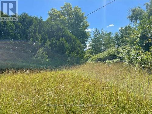 6950 County Rd 93 Road, Tiny, ON 