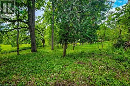 311 Golf Links Road, Hamilton, ON 