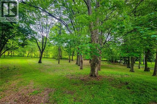 311 Golf Links Road, Hamilton, ON 