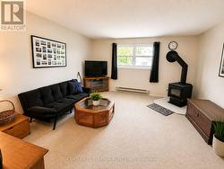 Lower Level Living Room - Colour Enhanced - 