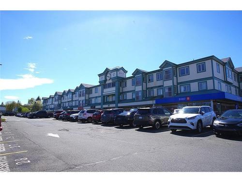 207-386 Elizabeth Avenue  St. John's, NL A1B 1Y2