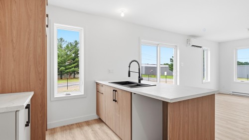 Cuisine - 70 Rue Nicolas-Perreault, Sorel-Tracy, QC - Indoor Photo Showing Kitchen With Double Sink
