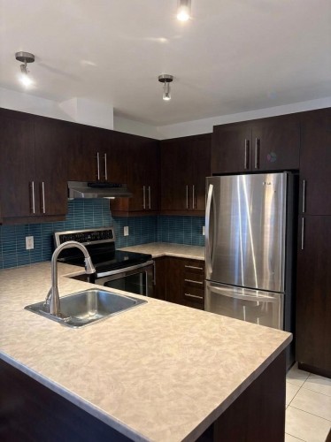 Kitchen - 5-520 Rue Gibbons, Montréal (Verdun/Île-Des-Soeurs), QC 