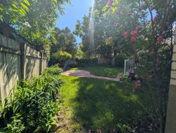 Jardin - 