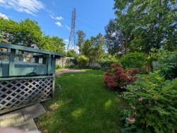 Jardin - 