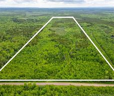 LOT Coburg RD Port Elgin, NB E4M 1M5