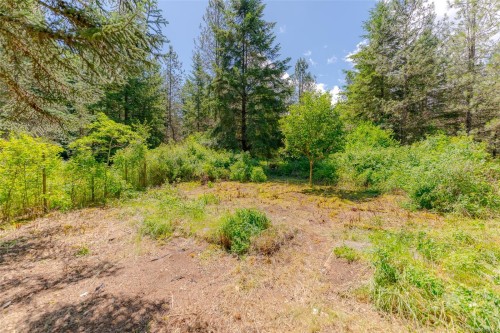 4386 Riverside Rd, Duncan, BC 
