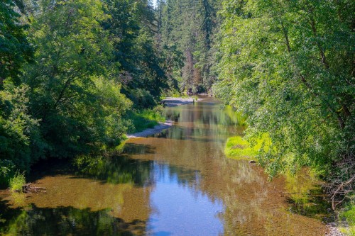 4386 Riverside Rd, Duncan, BC 