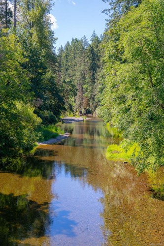 4386 Riverside Rd, Duncan, BC 