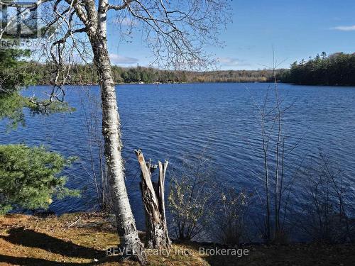 Picturesque views of Butterfly - 1031 Butterfly Road, Muskoka Lakes (Medora), ON 